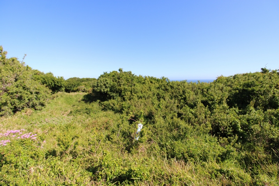 0 Bedroom Property for Sale in Eersterivierstrand Eastern Cape
